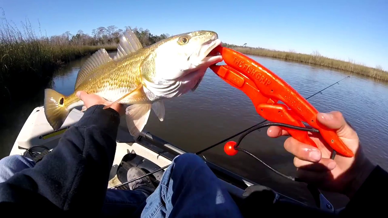 Florida Marsh Fishing Redfish & Speckled Trout On Artificial Baits YouTube