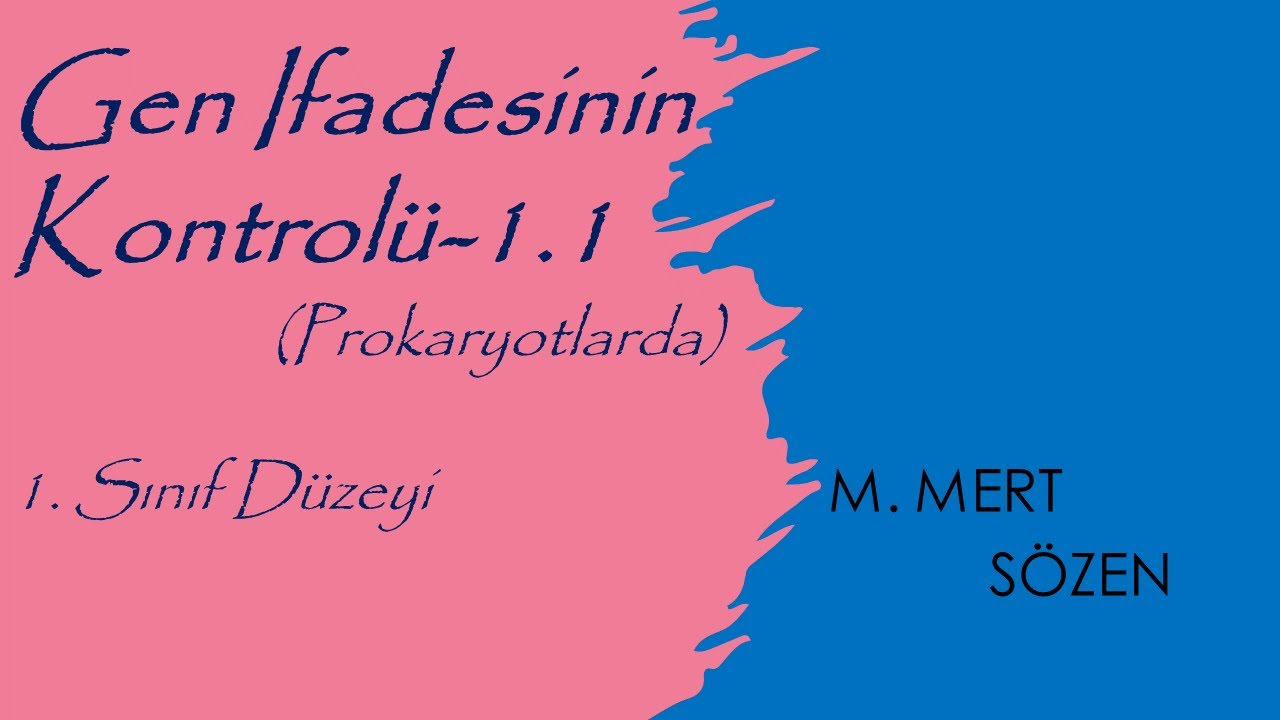 Gen İfadesi Kontrolü-1 (Prokaryotlar) -1. Sınıf Düzeyi TÜRKÇE