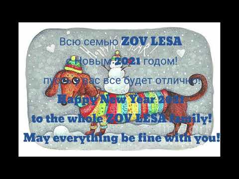 с Новым годом семью "ZOV LESA"