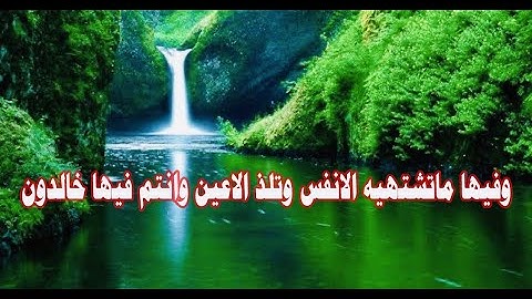 سورة الزخرف .. الشيخ اسامة ابو النور .. خليفة الطبلاوي .. يتلو علينا بصوت جميل