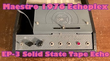 Maestro 1976 Echoplex EP-3 Light Gray [Solid State Tape Echo]