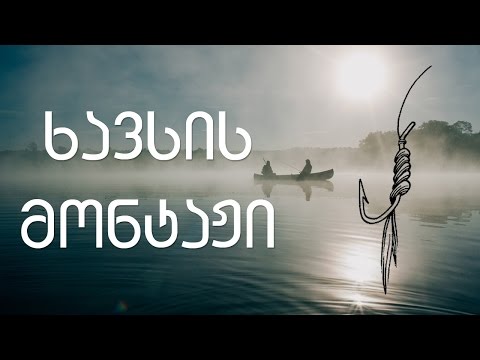 ხავსის მონტაჟი