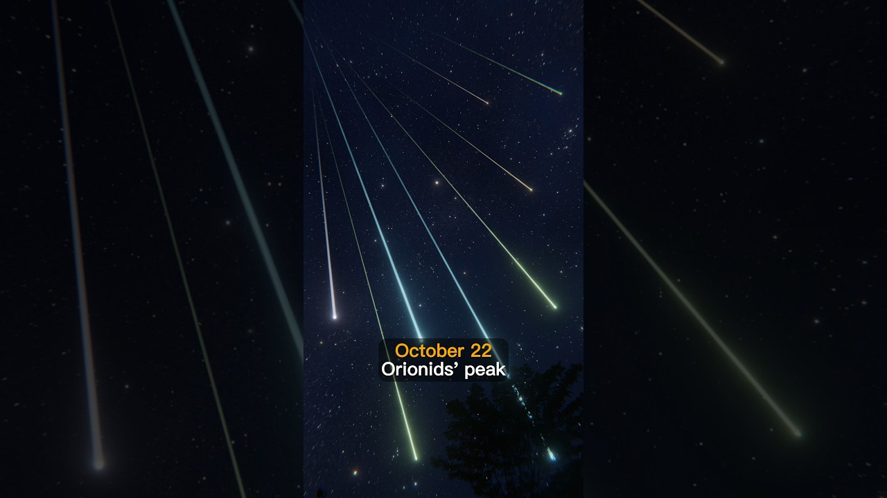 Celestial Events in October 2023 ✨