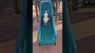 Dog’s Epic Slide! Can your dog do this? 💨 Zoomies at LA Memorial Park! 다영이의 완벽 미끄럼 타기! 제트기보다 빠른 댕댕이