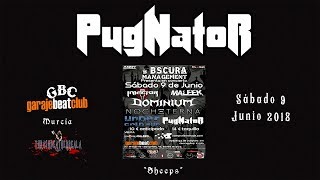 Pugnator - Sheeps (live Sala Garaje Beat Club, 09-06-2018)