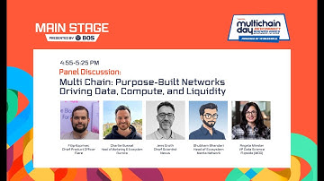 Multi Chain: Purpose-Built Networks Driving Data & Compute | Multichain Day | Devconnect 2025