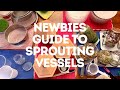 Newbies guide to sprouting vessels