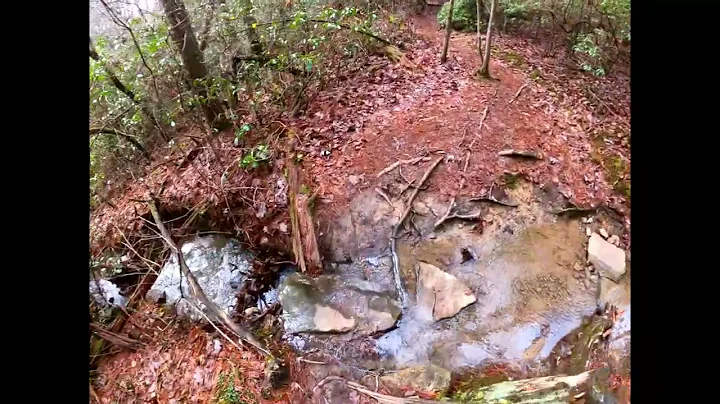 pioneer loop trail