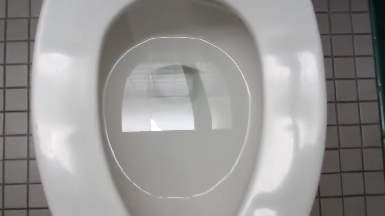 3597 Mid 2000'sPresent Eljer Signature Wall Mounted Toilet 5 YouTube