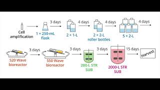 cGMP Upstream, Downstream and Process Intensification