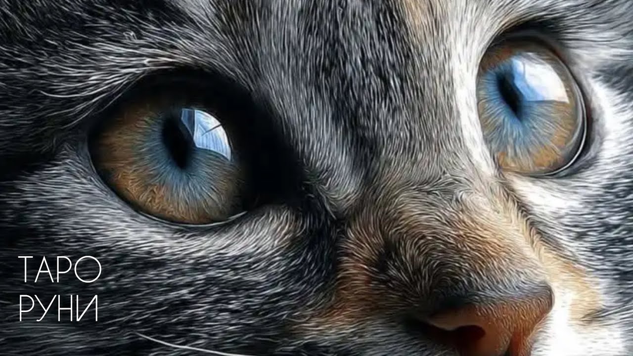 А ЩАСТЯ ДЕ?.. 💔 Що заважає вам бути щасливими? Таро та руни покажуть + практика відкриття доріг