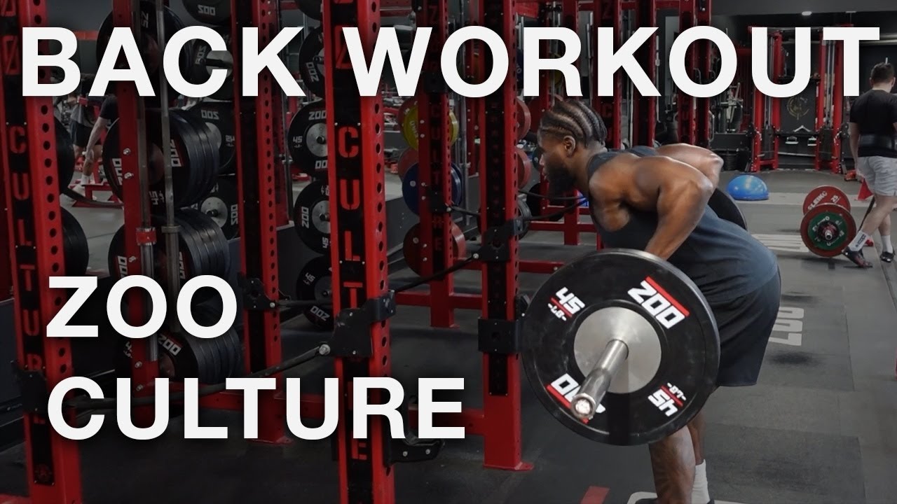 BACK WORKOUT | Putting in pain at Zoo Culture LA