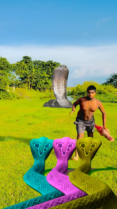 Yrllow#snake ayabhago#hara hara shambhu#video aya#big snke#vfx video#hara hara Shambhu cnake aya