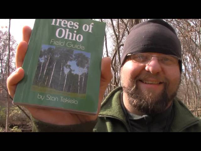 Tree Identification 101 -Mantis Outdoors