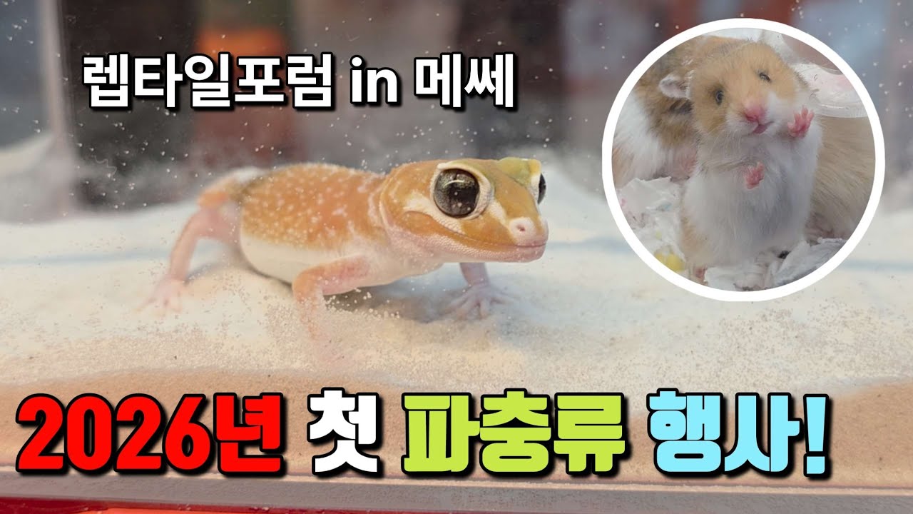 2026년 첫 파충류 행사! 렙타일 포럼 in 수원메쎄