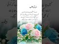 کیا عورت کو صرف سمجھنے والا چاہیے   