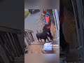 Dogs befriend delivery workers 😘 ❤️ #foryou #shorts