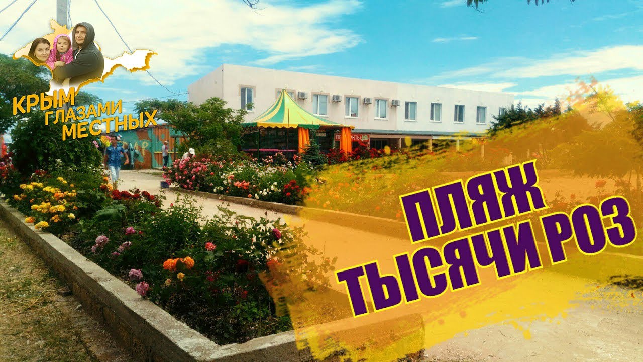 Самый  Цветущий песчаный Пляж Крыма. Орловка. Обращение к администрации Ялты. Крым 2017