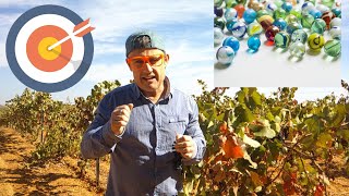 “¡Vamos a jugar! Canicas y dardos con Juanchi”