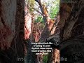 Integration