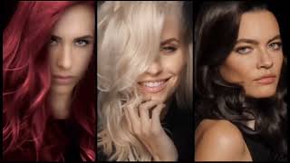 Fox Netherlands - Idents & Promos & Continuity & Commercial Ad Break August 29, 2023