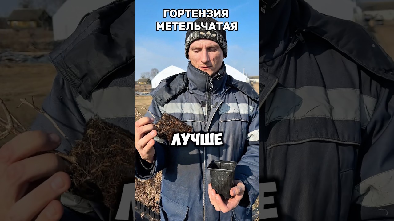 ❗️❗️ ПО ВОПРОСАМ И ЦЕНЕ:+375296011066 все мессенджеры!