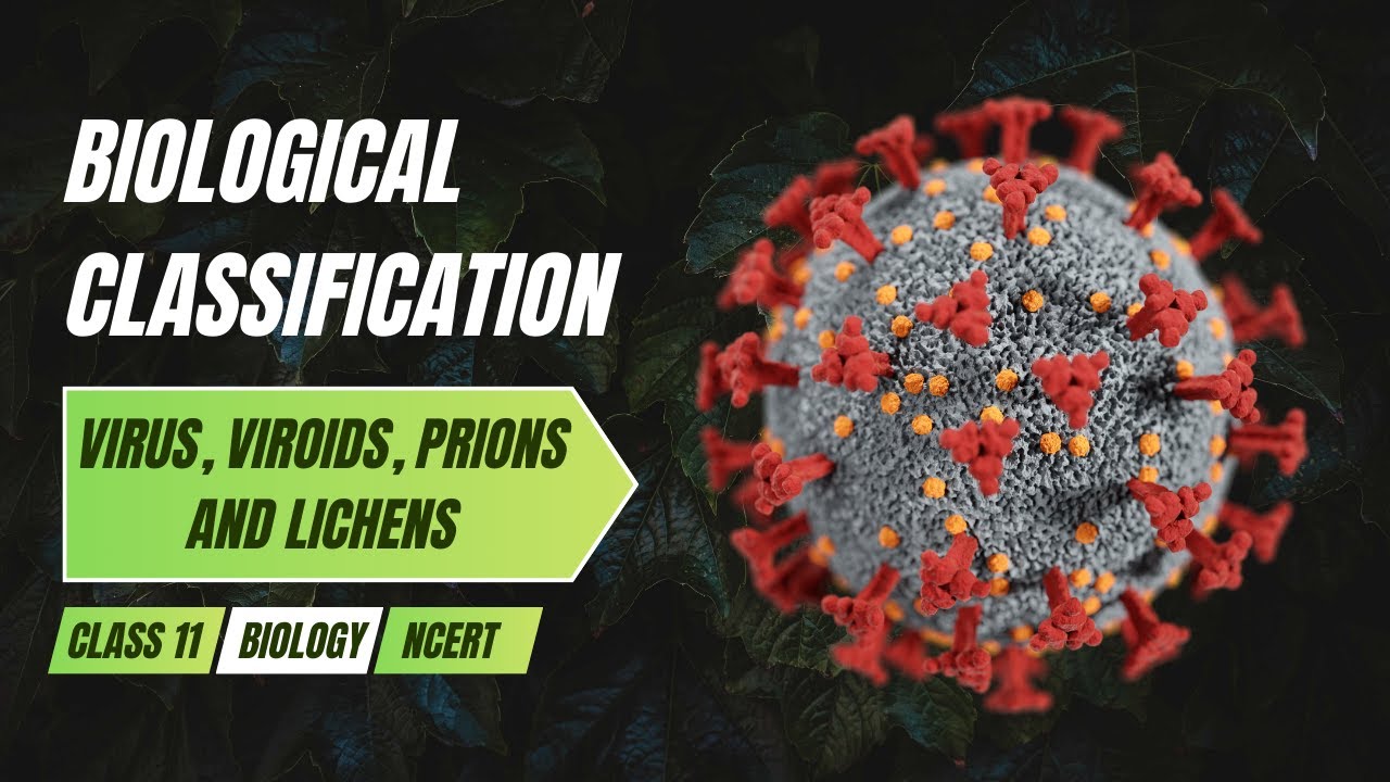 ВИРУСЫ, ВИРУСЫ, ПРИОНЫ И ЛИХЕНЫ | Биологическая классификация | Биология NCERT, 11 класс
