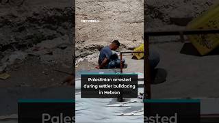 Israeli forces arrest Palestinian while illegal settlers bulldoze land in Hebron