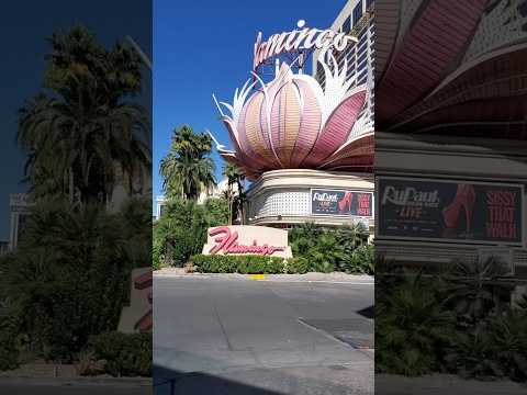 VENTANEANDO TV PEREIRA NOTA 9 AÑOS DEL GRAN CASINO VICTORIA