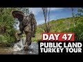 WISCONSIN PUBLIC LAND GOBBLERS! - Public Land Turkey Tour Day 47