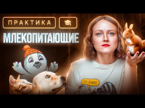 Млекопитающие | ЕГЭ-2024 по биологии