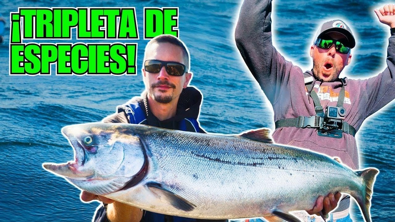 ¡Había $500 en juego... y pasó esto!