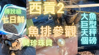 西貢2得我同阿女😆居然遇到七日鮮😍之後參觀深灣魚排👍開珍珠貝,睇魚睇蠔睇龍蝦睇墨魚🥰重睇到點用巨型舊式秤💯好多野睇🤩~fishcutting香港海鮮~社長遊街市Seafood