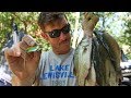 White Bass CATCH & COOK | Fishing TINY Shad Lures
