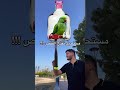 نزلت لكم اصعب واقوئ التحديات مستحيل تفتح القفص تابعوني فديتكم