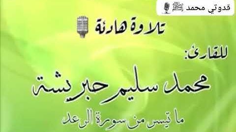 تلاوة هادئة للقارئ محمد سليم حبريشة🎙| ما تيسر من سورة الرعد