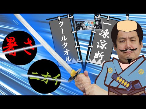 動画