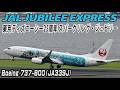 JAL Jubilee Express 東京ディズニーシー25周年 スパークリング・ジュビリー Boeing 737-800(JA339J)羽田空港離着陸