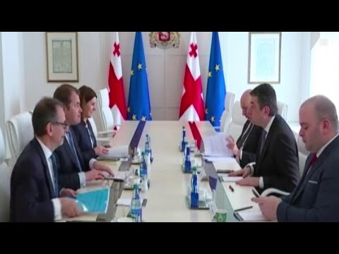EBRD-ის ვიცე-პრეზიდენტთან შეხვედრა