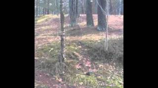 27112009 mp4