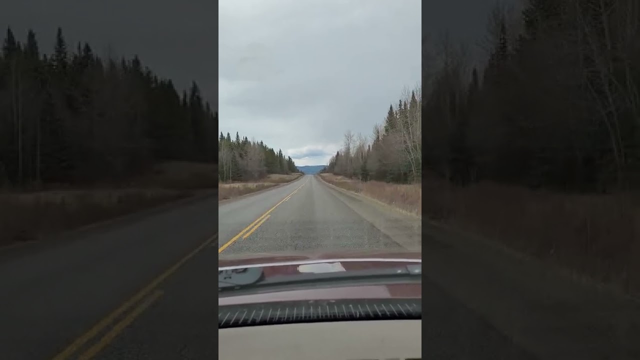On the road to Topley Landing (Babine Lake)
