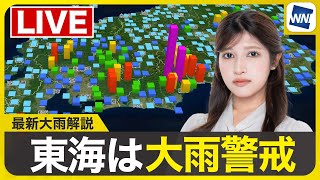 ウェザーニュースの配信のサムネイル画像