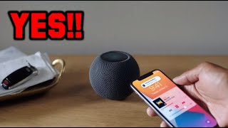 Home Pod Mini Review Lots Of Sound For A Tiny Box 2021