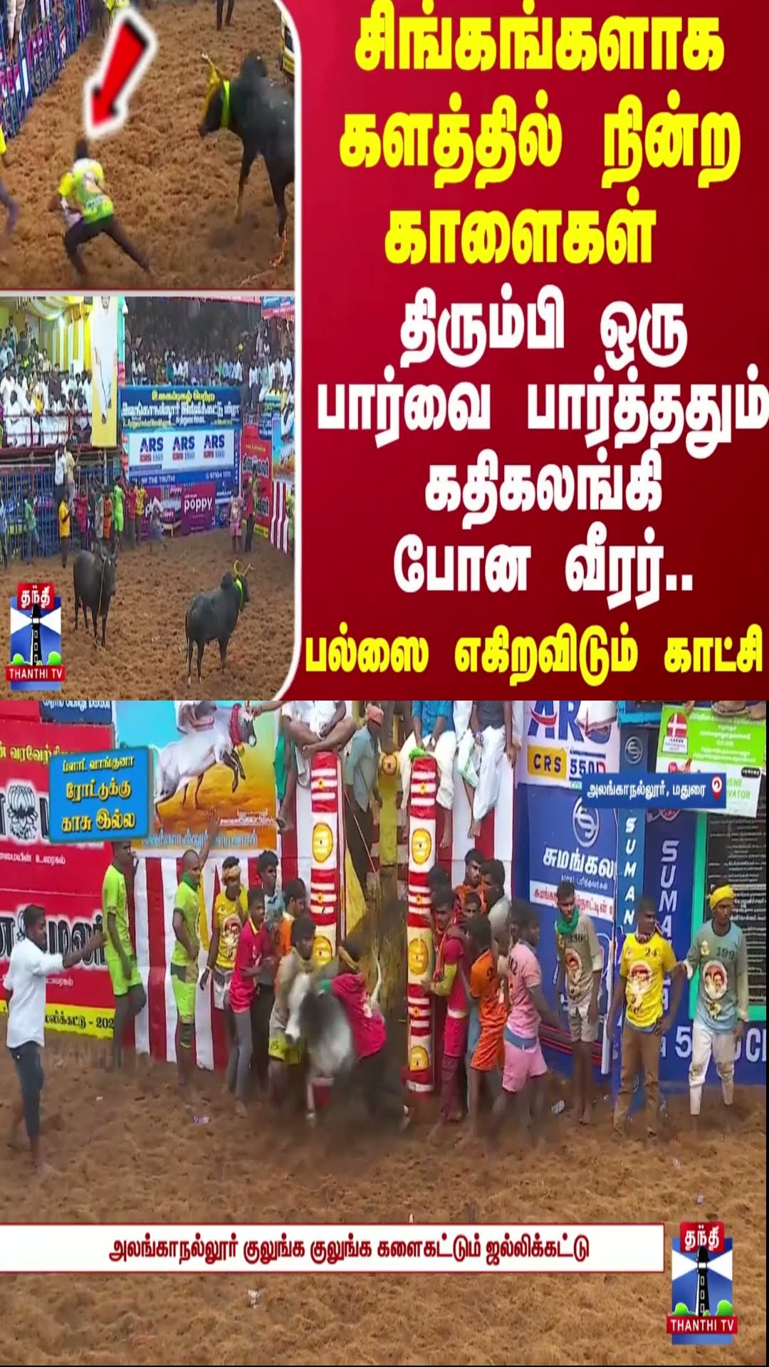 சிங்கங்களாக களத்தில் நின்ற காளைகள்..திரும்பி ஒரு பார்வை பார்த்ததும் கதிகலங்கி போன வீரர்..