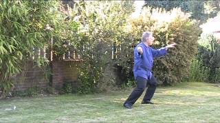 Dr Stewart McFarlane performing t'ai chi