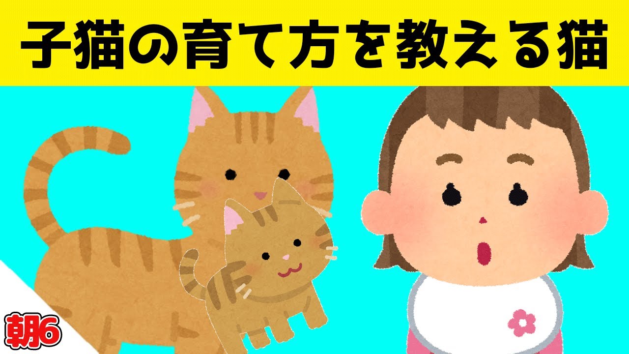 愛猫が産んだ子猫を見せに来て、娘に子猫の育て方も教えてくれた結果ｗｗｗ