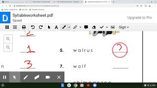 Syllable Counting Animal Names