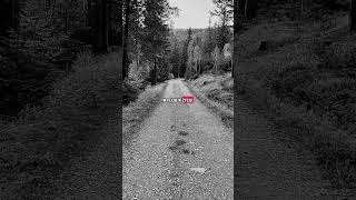 Największa potrzeba #potrzeba #wsparcie #osoba #relacja #życie #przekaz #cytat #cytaty #inspiracja