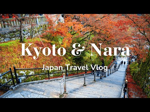 Trip to Kyoto & Nara | First Time in Japan 🇯🇵 | Travel Vlog