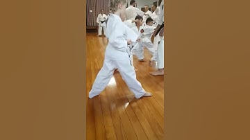 Kihon Drill (video 1) - 19 Feb 2019